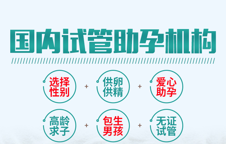 越南代孕-越南代孕公司/胡志明市代孕价格/越南辅助生殖/越南代孕多少钱/越南借腹生子/越南同性代孕/越南代孕生子/越南i