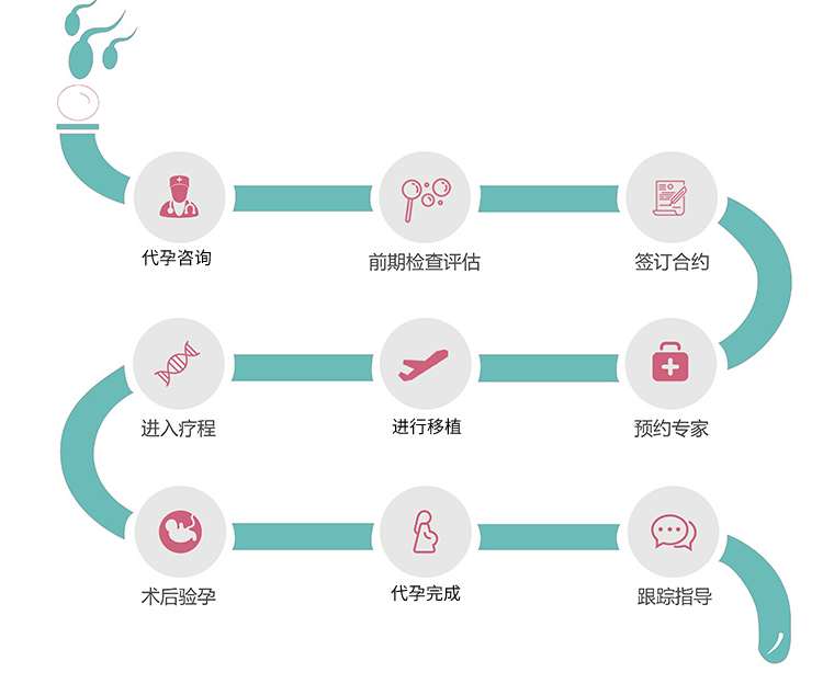 越南代孕流程