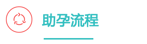 越南代孕流程